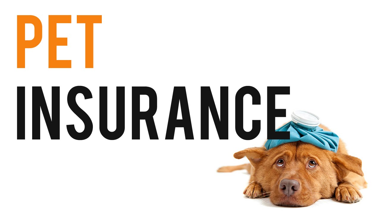 Guardian Pet Insurance