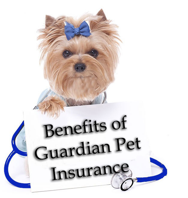 Guardian Pet Insurance